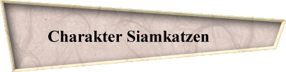 Charakter Siamkatzen       