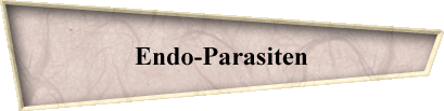 Endo-Parasiten