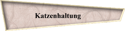 Katzenhaltung     