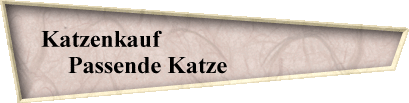 Katzenkauf                                   
Passende Katze                   