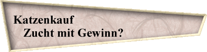 Katzenkauf                                        
Zucht mit Gewinn?                    