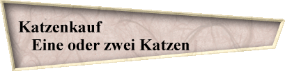 Katzenkauf                                        
Eine oder zwei Katzen               