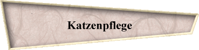Katzenpflege