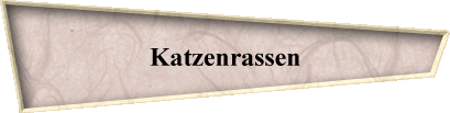 Katzenrassen