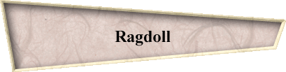Ragdoll