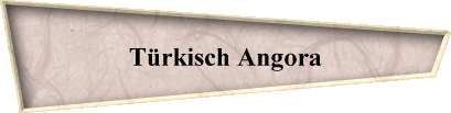 T�rkisch Angora