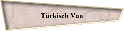 T�rkisch Van