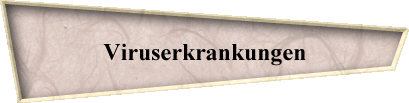 Viruserkrankungen